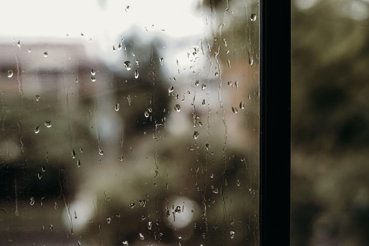 Rain running down a window pane