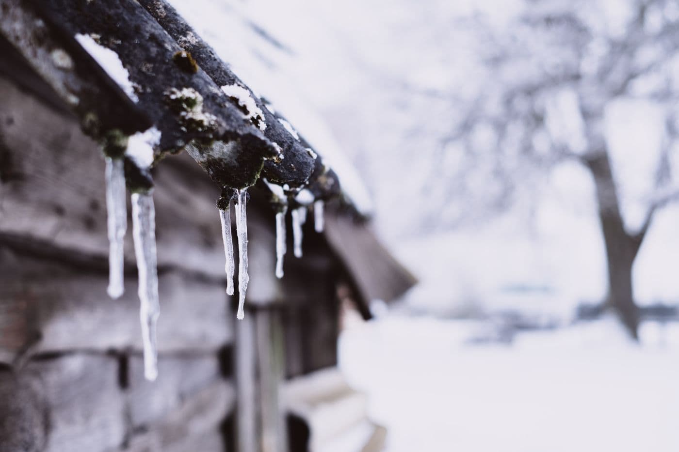Icicles hanging from a pipe in freezing weather