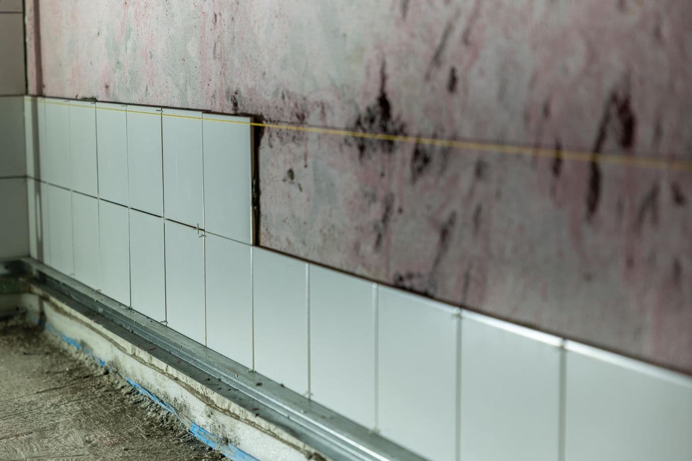Mold spreading across a tiled bathroom wall